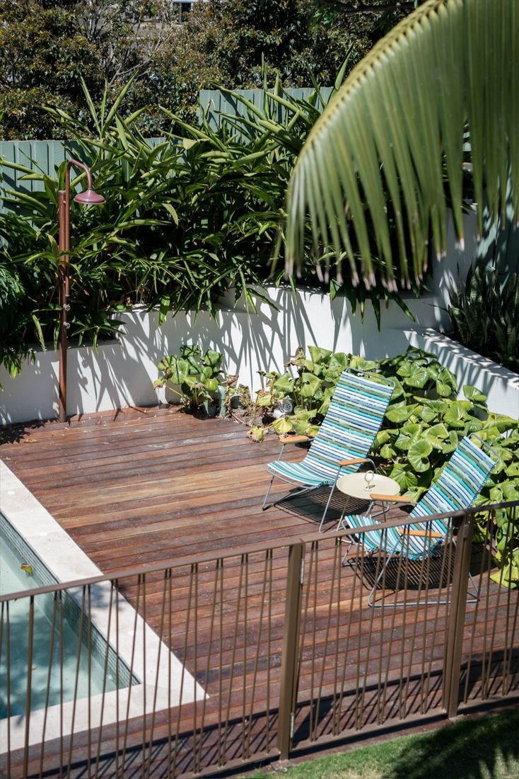 A timber pool deck with sun loungers, tropical planting and a pool fence