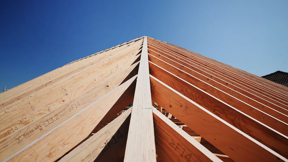 Looking up a timber hip rafter with creepers against a blue sky